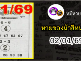 เลขเด็ดงวดนี้ม้าสีหมอก 02/01/69