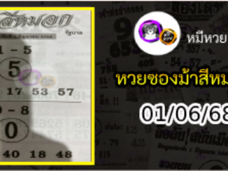 เลขเด็ดงวดนี้ม้าสีหมอก 01/06/68