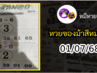 เลขเด็ดงวดนี้ม้าสีหมอก 01/07/68