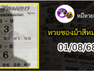 เลขเด็ดงวดนี้ม้าสีหมอก 01/08/68