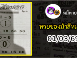 เลขเด็ดงวดนี้ม้าสีหมอก 01/03/69