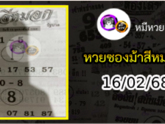 เลขเด็ดงวดนี้ม้าสีหมอก 16/02/68