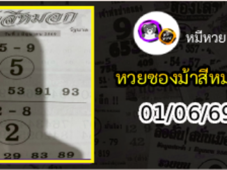 เลขเด็ดงวดนี้ม้าสีหมอก 01/06/69