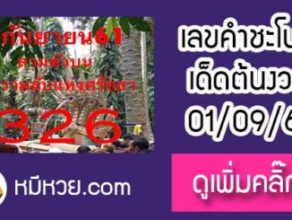 เลขคำชะโนด1/9/61 หวยเด็ดงวดนี้