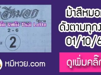 เลขเด็ดงวดนี้ม้าสีหมอก 1/10/61