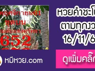 เลขคำชะโนด16/11/61 หวยเด็ดงวดนี้