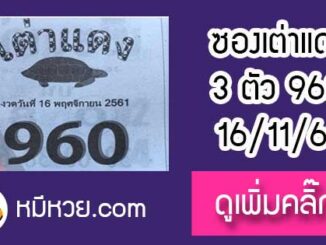 หวยซองเต่าแดง 16/11/61