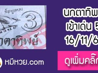 หวยซองนกตาทิพย์ 16/11/61