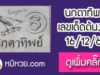 หวยซองนกตาทิพย์ 16/12/61