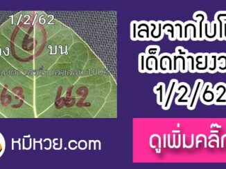 เลขใบโพธิ์1/2/62