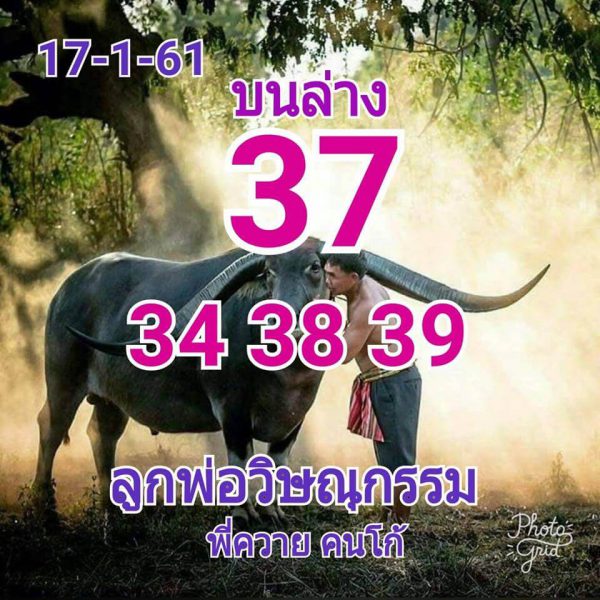 ลูกพ่อวิษณุกรม17/1/62, ลูกพ่อวิษณุกรม17-1-2562, ลูกพ่อวิษณุกรม17 ม.ค 2562, หวยซอง, ลูกพ่อวิษณุกรม, เลขเด็ดงวดนี้, เลขเด็ด, หวยเด็ด