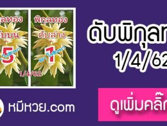 เลขดับพิกุลทอง 1/4/62 ต้องตาม
