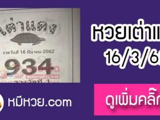 หวยซองเต่าแดง 16/3/62