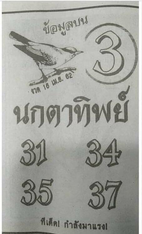 หวยซองนกตาทิพย์16/4/62, หวยซองนกตาทิพย์16-4-62, หวยซองนกตาทิพย์16 เม.ย. 62, หวยซองนกตาทิพย์, หวยซอง, เลขเด็ดงวดนี้