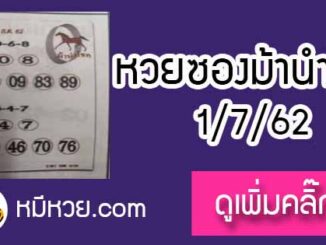 หวยซอง ม้านำโชค 1/7/62