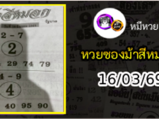 เลขเด็ดงวดนี้ม้าสีหมอก 16/03/69