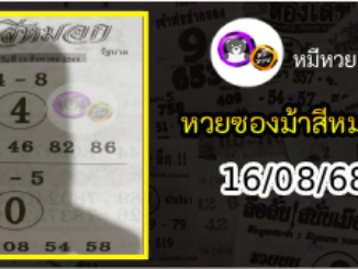 เลขเด็ดงวดนี้ม้าสีหมอก 16/08/68
