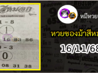 เลขเด็ดงวดนี้ม้าสีหมอก 16/11/68