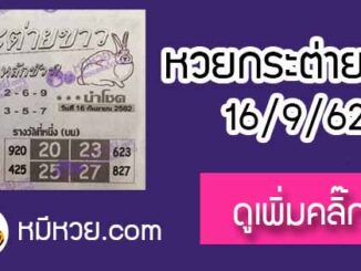 หวยซอง กระต่ายขาว 16/9/62