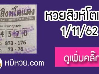 หวยซอง สิงโตแดง 1/11/62