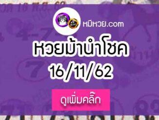 หวยซอง ม้านำโชค 16/11/62