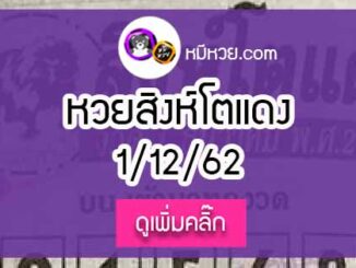 หวยซอง สิงโตแดง 1/12/62