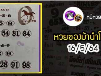 หวยซอง ม้านำโชค 16/5/64