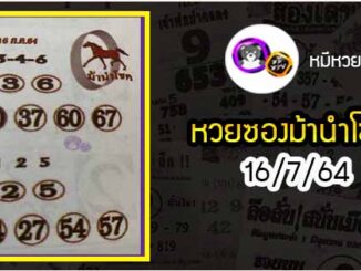 หวยซอง ม้านำโชค 16/7/64