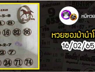 หวยซอง ม้านำโชค 16/02/65