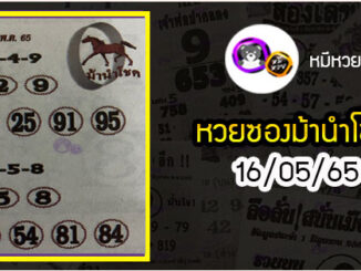 หวยซอง ม้านำโชค 16/05/65