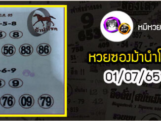 หวยซอง ม้านำโชค 01/07/65