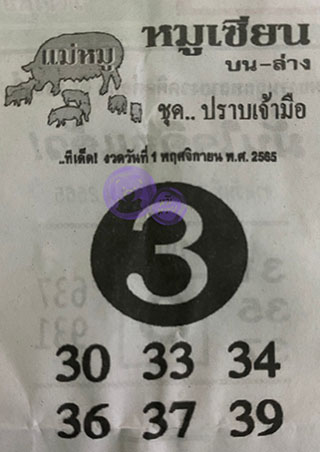 หวยซอง หมูเซียน 01/11/65, หวยซอง หมูเซียน 01-11-2565, หวยซอง หมูเซียน 01 พ.ย. 2565, หวยซอง, หวยซอง หมูเซียน, เลขเด็ดงวดนี้, เลขเด็ด, หวยเด็ด