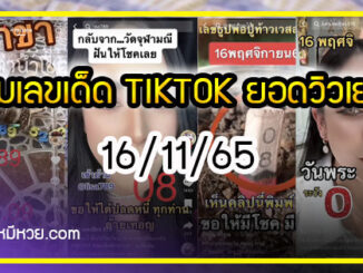 รวมเลขเด็ด TIKTOK ยอดวิวเยอะ 16/11/65  งวดนี้มาส่องต่อ