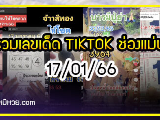 รวมเลขเด็ด TIKTOK ยอดวิวเยอะ 17/01/66 งวดนี้มาส่องต่อ