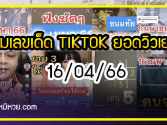 รวมเลขเด็ด TIKTOK ยอดวิวเยอะ 16/04/66 งวดนี้มาส่องต่อ