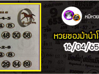 หวยซอง ม้านำโชค 16/04/65