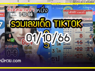 รวมเลขเด็ด TIKTOK ยอดวิวเยอะ 01/10/66 งวดนี้มาส่องต่อ