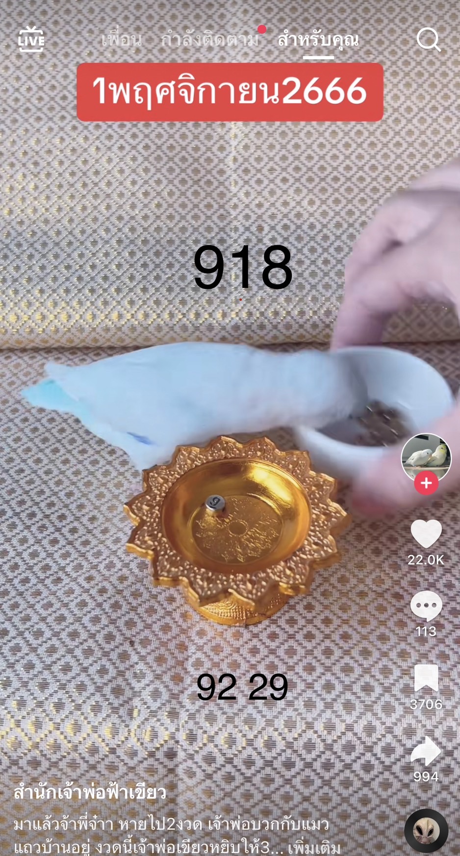 รวมเลขเด็ด TIKTOK ยอดวิวเยอะ 01/11/66 งวดนี้มาส่องต่อ