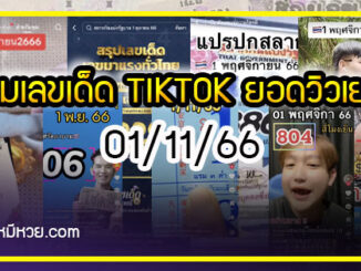 รวมเลขเด็ด TIKTOK ยอดวิวเยอะ 01/11/66 งวดนี้มาส่องต่อ