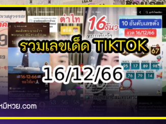 รวมเลขเด็ด TIKTOK ยอดวิวเยอะ 16/12/66 งวดนี้มาส่องต่อ