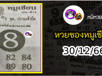 หวยซอง หมูเซียน 30/12/66