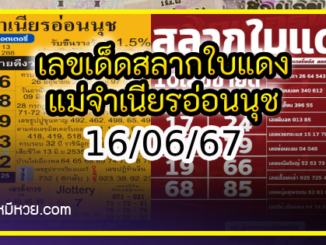 เลขเด็ดสลากใบแดง-แม่จำเนียรอ่อนนุช 16/06/67 [สิบเลขเด็ดขายดี]