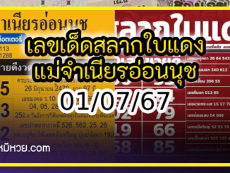 เลขเด็ดสลากใบแดง-แม่จำเนียรอ่อนนุช 01/07/67 [สิบเลขเด็ดขายดี]