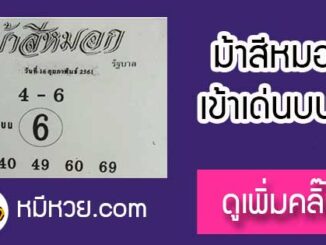 ม้าสีหมอก 16/2/61 หวยเด็ดงวดนี้