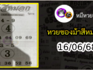 เลขเด็ดงวดนี้ม้าสีหมอก 16/06/68