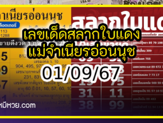 เลขเด็ดสลากใบแดง-แม่จำเนียรอ่อนนุช 01/09/67 [สิบเลขเด็ดขายดี]