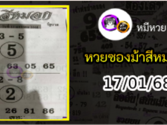 เลขเด็ดงวดนี้ม้าสีหมอก 17/01/68