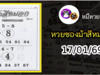 เลขเด็ดงวดนี้ม้าสีหมอก 17/01/69