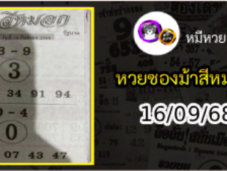 เลขเด็ดงวดนี้ม้าสีหมอก 16/09/68
