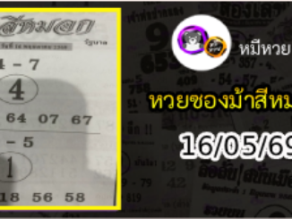 เลขเด็ดงวดนี้ม้าสีหมอก 16/05/69